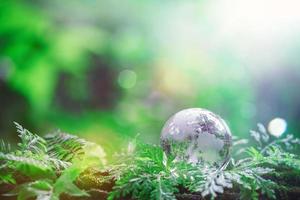 Globe planet glass In green forest with bokeh nature lights. world environment day. concept for environment conservation, protect ecology earth and environmental eco-friendly life with copy space photo