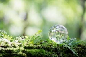 Globe planet glass In green forest with bokeh nature lights. world environment day. concept for environment conservation, protect ecology earth and environmental eco-friendly life with copy space photo