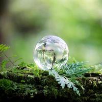 Globe planet glass In green forest with bokeh nature lights. world environment day. concept for environment conservation, protect ecology earth and environmental eco-friendly life with copy space photo