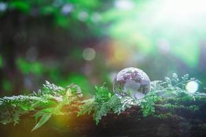 Globe planet glass In green forest with bokeh nature lights. world environment day. concept for environment conservation, protect ecology earth and environmental eco-friendly life with copy space photo