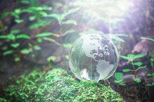 Globe planet glass In green forest with bokeh nature lights. world environment day. concept for environment conservation, protect ecology earth and environmental eco-friendly life with copy space photo