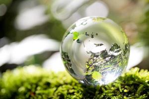 Globe planet glass In green forest with bokeh nature lights. world environment day. concept for environment conservation, protect ecology earth and environmental eco-friendly life with copy space photo