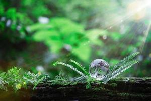 Globe planet glass In green forest with bokeh nature lights. world environment day. concept for environment conservation, protect ecology earth and environmental eco-friendly life with copy space photo