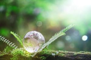 Globe planet glass In green forest with bokeh nature lights. world environment day. concept for environment conservation, protect ecology earth and environmental eco-friendly life with copy space photo