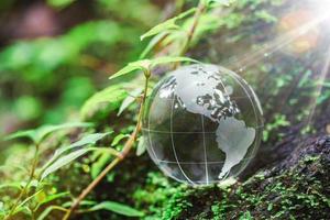 Globe planet glass In green forest with bokeh nature lights. world environment day. concept for environment conservation, protect ecology earth and environmental eco-friendly life with copy space photo