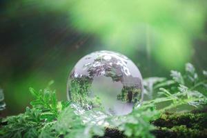 Globe planet glass In green forest with bokeh nature lights. world environment day. concept for environment conservation, protect ecology earth and environmental eco-friendly life with copy space photo