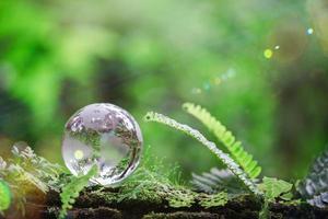 Globe planet glass In green forest with bokeh nature lights. world environment day. concept for environment conservation, protect ecology earth and environmental eco-friendly life with copy space photo