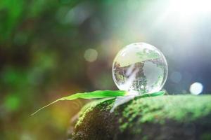 globo planeta cristal en bosque verde con luces de naturaleza bokeh. día Mundial del Medio Ambiente. concepto para la conservación del medio ambiente, proteger la ecología de la tierra y la vida ecológica con espacio de copia foto