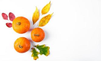 Ripe pumpkins and fallen yellow leaves on white background. Hello autumn. Halloween and Thanksgiving symbol. photo