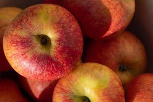 Close-up and background of red fresh apples lying on top of each other. photo