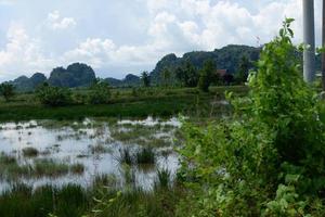 paisaje de calma y belleza naturaleza vida en el pueblo foto