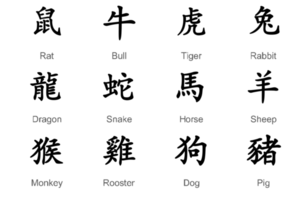 platt djur- tecken av de kinesisk zodiaken förbi år. kinesisk zodiaken tecken horoskop symboler. png