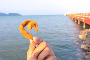 The hand holding fried chicken skin with Sensitive focus sea and bridge as background photo