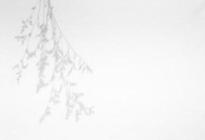 Leaves natural shadow overlay on white texture background, for overlay on product presentation, backdrop and mockup photo