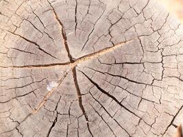 la textura de cerca del tocón de árbol con grietas de uso de tocones para imágenes de fondo foto