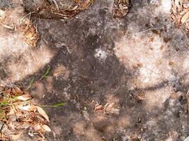 The texture of stone used for background images, Surface of stone brown color photo