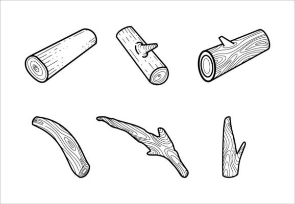 Collection of Branch Tree Wood