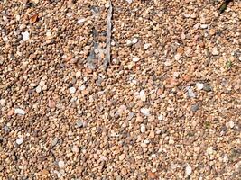 The texture of stone used for background images, Surface of stone brown color photo