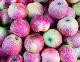 wet apples on shelf photo