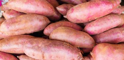 pile of sweet potatoes photo