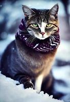 un gato con una bufanda en un bosque nevado. foto