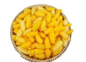 yellow cocoons in basket photo