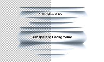 sombra con fondo transparente y diferentes tipos de sombras vector