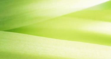 Closeup abstract nature green blurred background nature leaf on greenery background with copy space using as background wallpaper page concept. photo