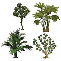 Set of different plants tree