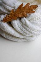 Autumn composition. plaid, dried leaves on white background. Autumn, fall concept. Flat lay, top view, copy space photo