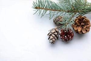 ramas de abeto cubierto de nieve. marco de navidad y lugar para texto foto