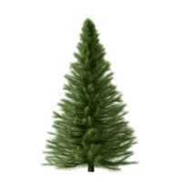 árvore de natal isolada renderização 3d png