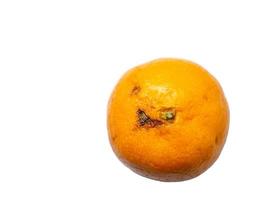 mandarina podrida sobre un fondo blanco. foto