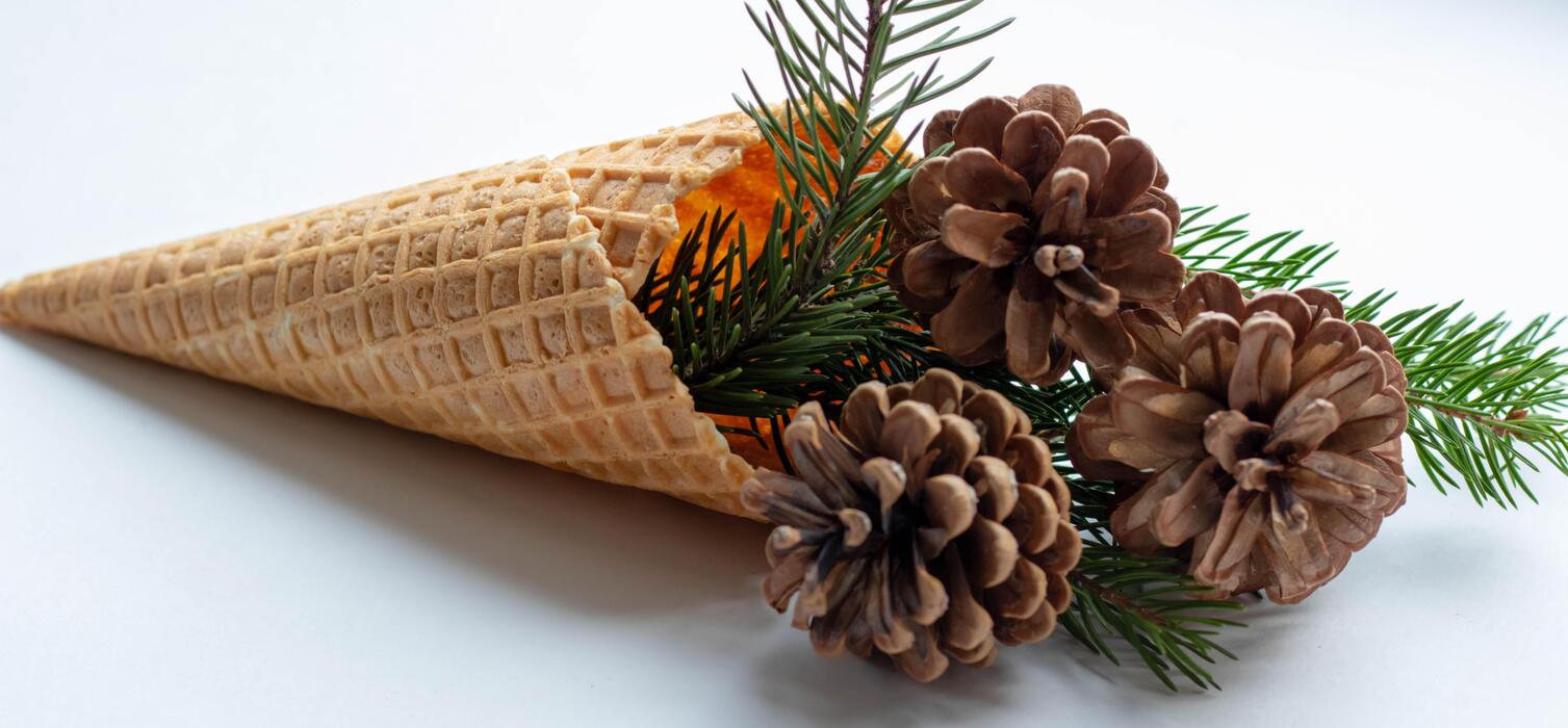 Ice Cream Banner Stock Photos, Images and Backgrounds for Free Download