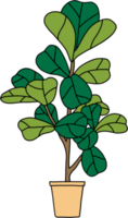 freehand skiss teckning av fiol blad fikon träd. png