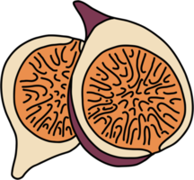 doodle desenho à mão livre de fruta figo. png