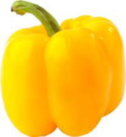 isolated bell pepper on transparent background. png