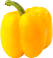 pimiento aislado sobre fondo transparente. png