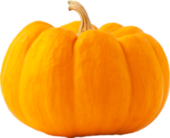 isolated pumpkin fruit on transparent background. png