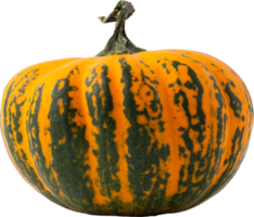 fruta de calabaza aislada sobre fondo transparente. png