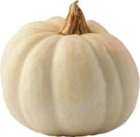 isolated pumpkin fruit on transparent background. png