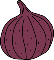 doodle freehand sketch drawing of fig fruit. png