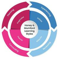 KHoney and Mumford Learning Styles Model infographic vector