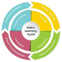 Kolb's Learning Cycle Infographic Vector Illustration