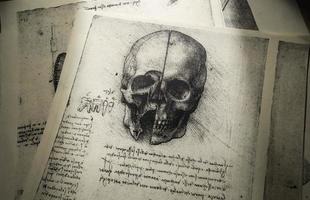 Anatomy art by Leonardo Da Vinci in Kandy medical exhibition photo