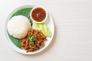 spicy grilled pork with rice photo