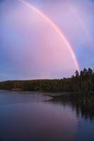 arco iris reflejado en el lago cuando llueve. en el lago cañas y nenúfares. foto