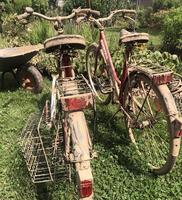 Two muddy bicycles pulled out of a basement after it was flooded with muddy water. photo