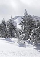 In the snowy mountains near Kusatsu Onsen, Japan photo