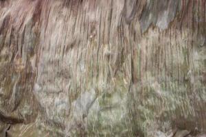 Textures of Dried banana leaf for background. photo